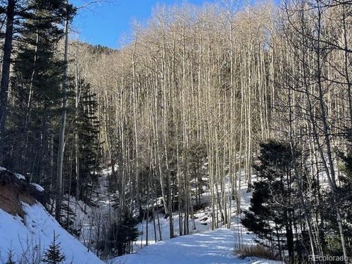 5252 Scott Rd, Fort Garland, CO, 81133 | Card Image