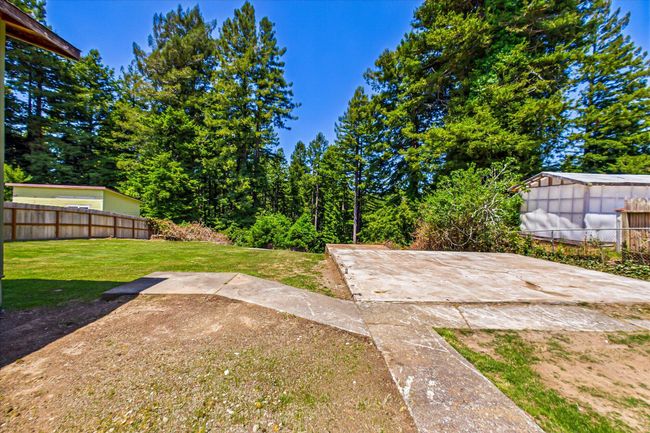 Back yard | Image 29