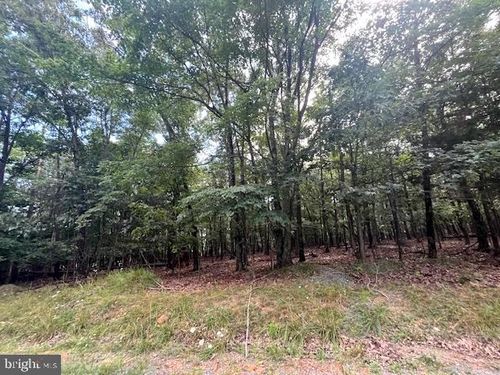 0 Three Oaks Dr, Gore, VA, 22637 | Card Image