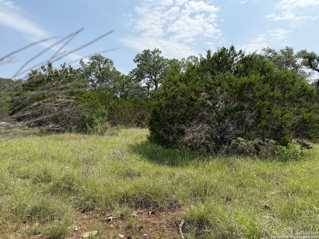 113 Restless Wind, Home with 0 bedrooms, 0 bathrooms and null parking in Spring Branch TX | Image 5