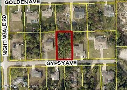 10439 Gypsy Ave, Weeki Wachee, FL, 34613-6624 | Card Image