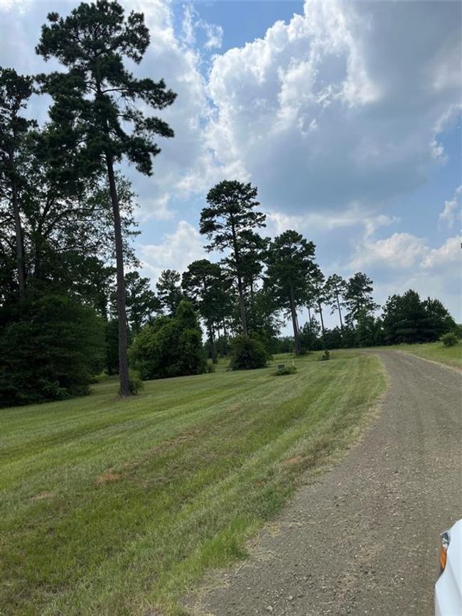 452 Old Tejas Trl E, Home with 0 bedrooms, 0 bathrooms and null parking in Hemphill TX | Image 4