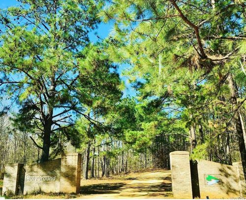 133 Red Eagle Dr, Lowndesboro, AL, 36752 | Card Image