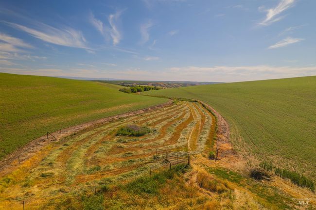 751 Boone Hill Rd, House other with 2 bedrooms, 1 bathrooms and 7 parking in Colton WA | Image 4