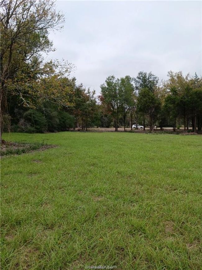 View of grassy yard | Image 14
