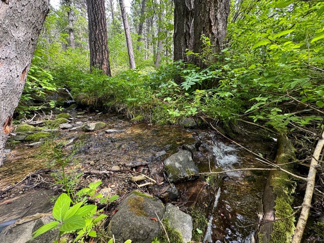 Creek on adjoining State land | Image 5