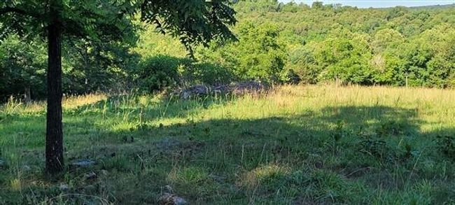 20220620_083539 | Image 27
