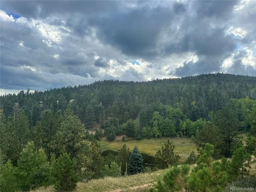 9010 County Road 21.1, Weston, CO, 81091 | Card Image