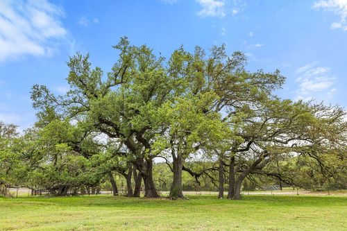 3657 Ranch Road 3232, Johnson City, TX, 78636-4108 | Card Image