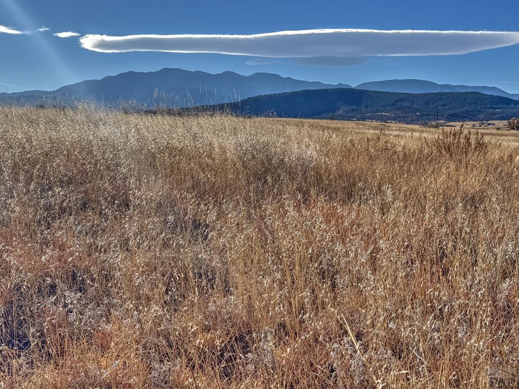 Land in Colorado City