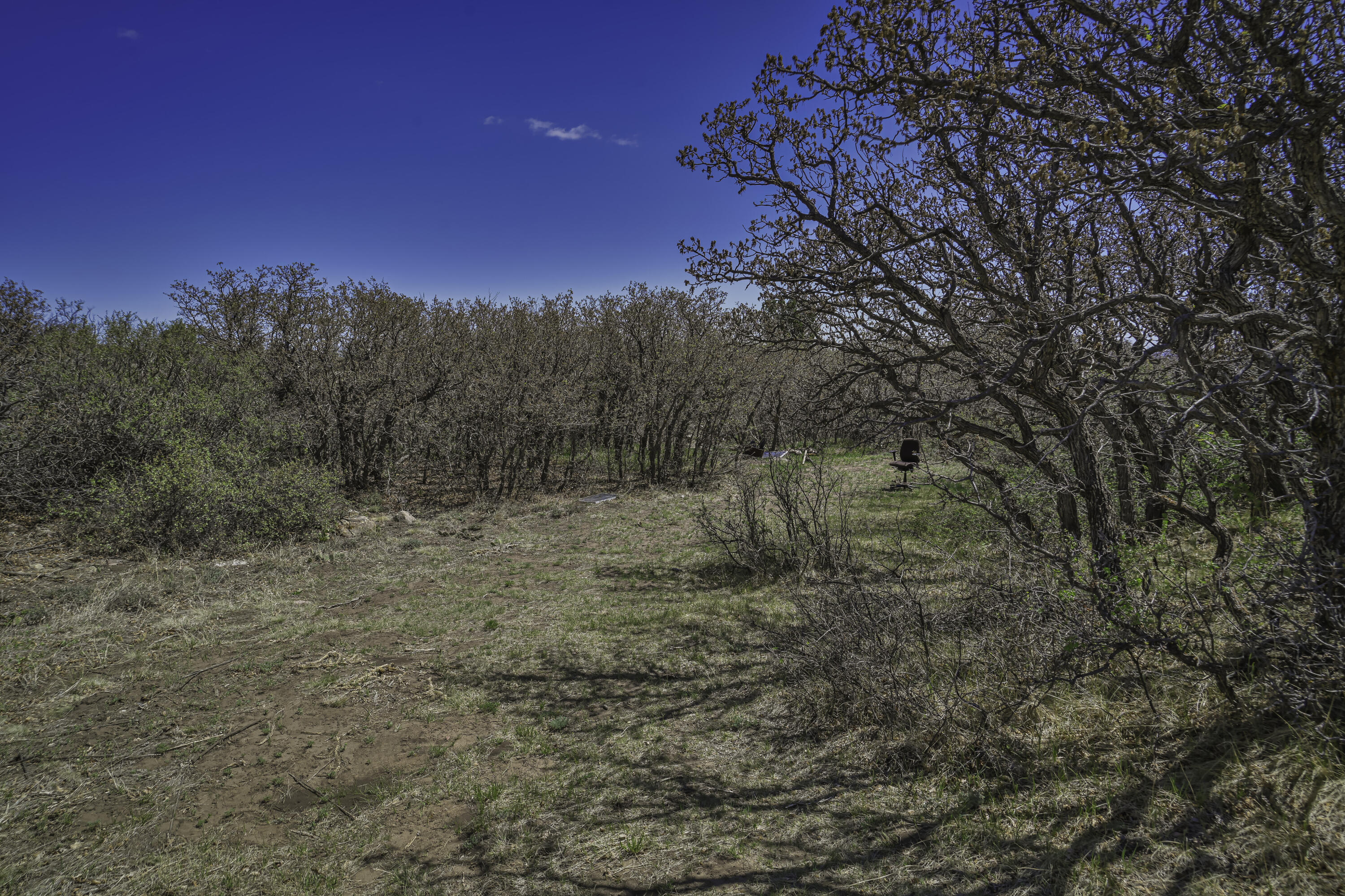 Land in Walsenburg 4
