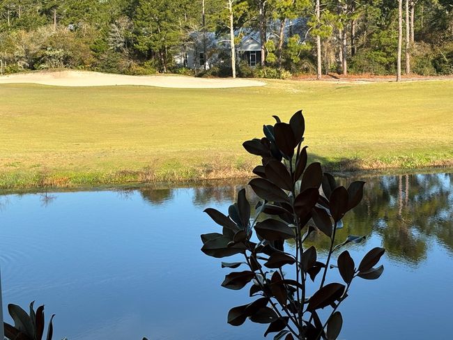 213 Eagles Way, Condo with 2 bedrooms, 2 bathrooms and 2 parking in CARRABELLE FL | Image 33