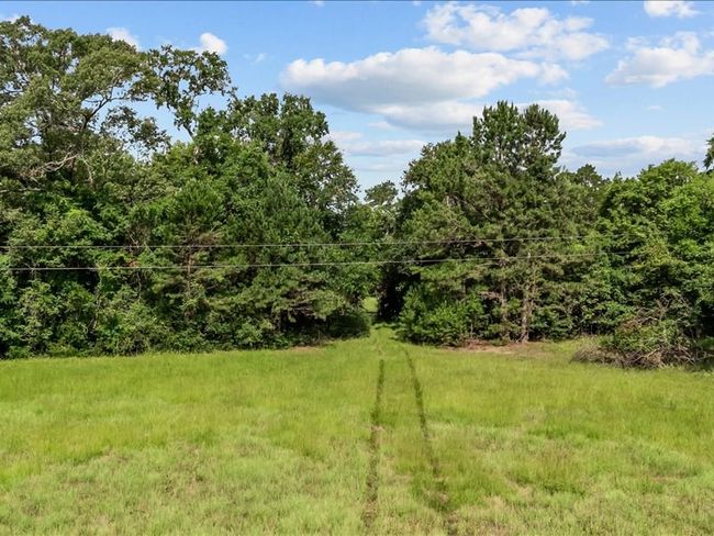 000 An County Road 100, Home with 0 bedrooms, 0 bathrooms and null parking in Elkhart TX | Image 5