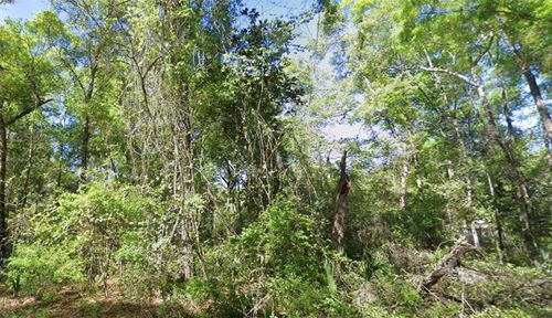 TBD Se 926th St Street, OLD TOWN, FL, 32680 | Card Image