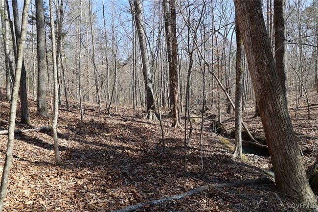 0 Golf Course Rd, Home with 0 bedrooms, 0 bathrooms and null parking in Halifax VA | Image 39