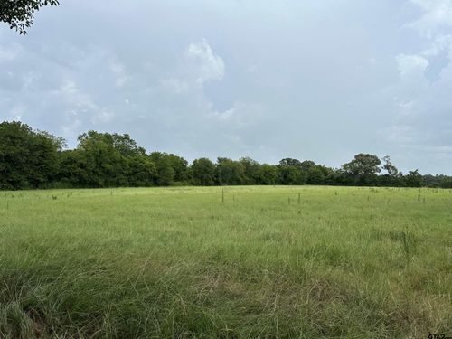 3697 An County Road 309 Tract 2, Frankston, TX, 75763 | Card Image
