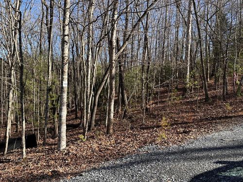 lot 19 Fairview Dr, Morganton, GA, 30560 | Card Image