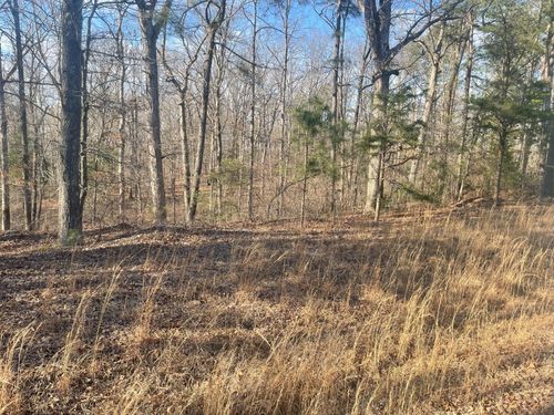 217 Mcgee Trl, Henderson, TN, 38340-7428 | Card Image