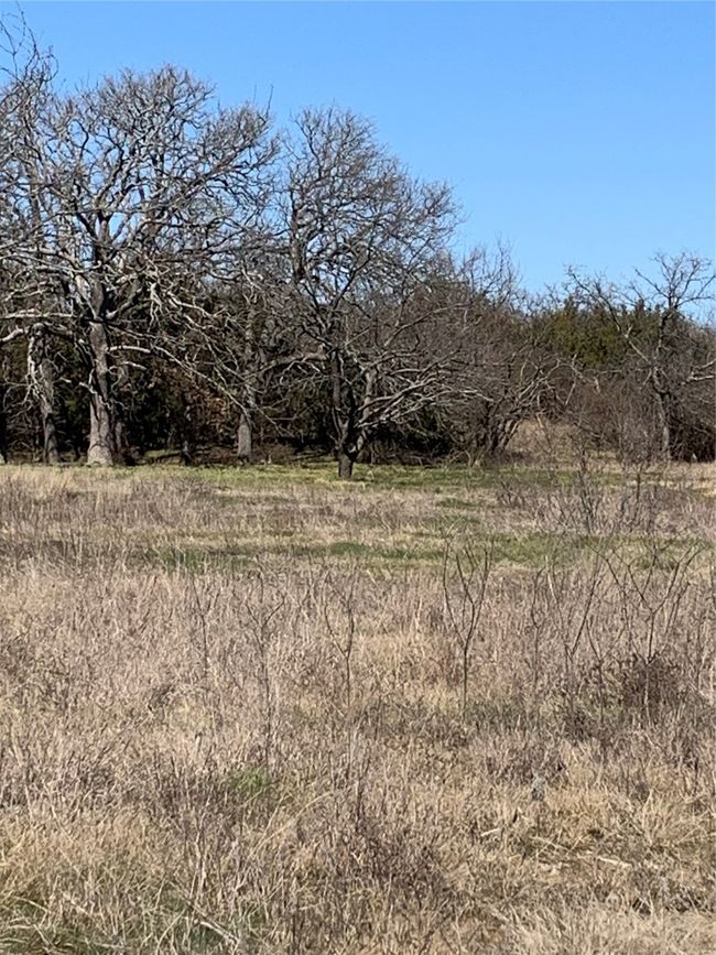 1 Northshore Lane, Home with 0 bedrooms, 0 bathrooms and null parking in Valley View TX | Image 29