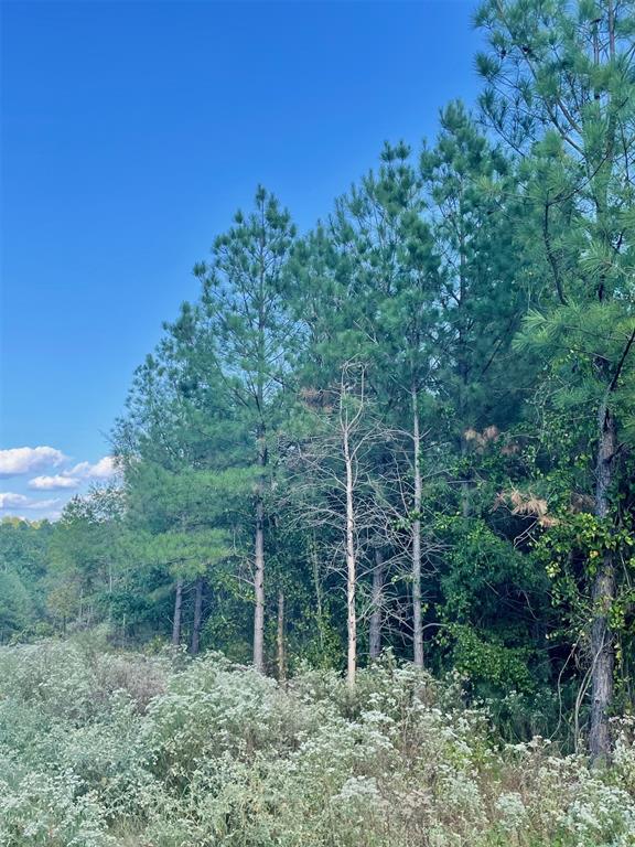 Land in Broken Bow 3