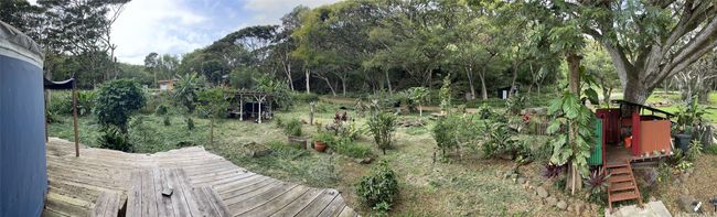 Small farm with fruit trees and mixed flowers and more. | Image 8