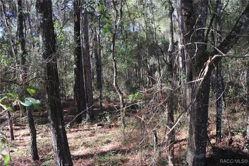 00 Sw 39th St, DUNNELLON, FL, 34432 | Card Image