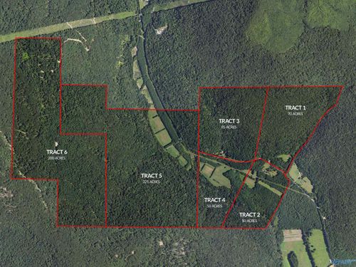 3-3818 -3 County Road 4, Hollytree, AL, 35751-5421 | Card Image