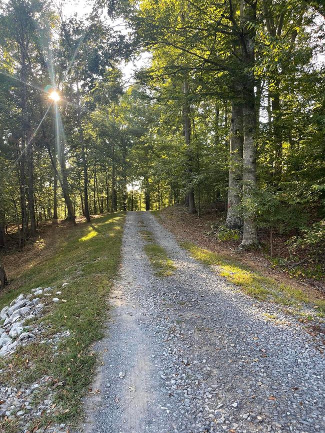Driveway | Image 10