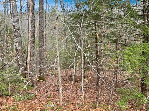 78 Hopper Road, Milton, NH, 03851 | Card Image