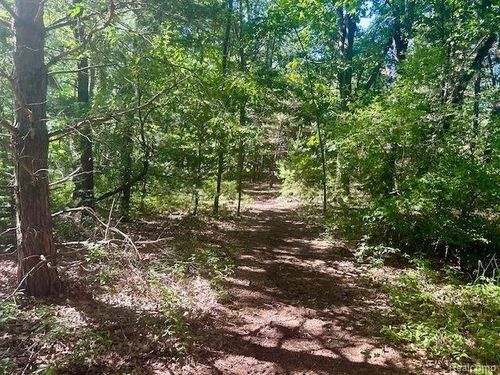 Parcel "C" Maybee Rd, Orion Charter Township, MI, 48359 | Card Image