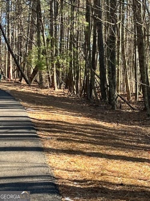 LOT 36R Lake View Ln, Ellijay, GA, 30536 | Card Image