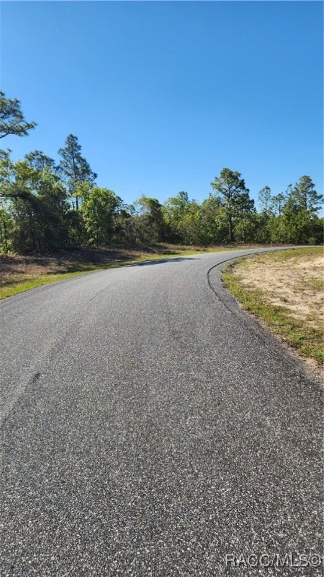 2872 W Lambert Dr, Home with 0 bedrooms, 0 bathrooms and null parking in DUNNELLON FL | Image 4