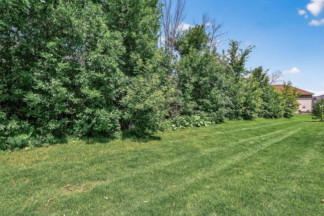 Wooded view from the patio | Image 21