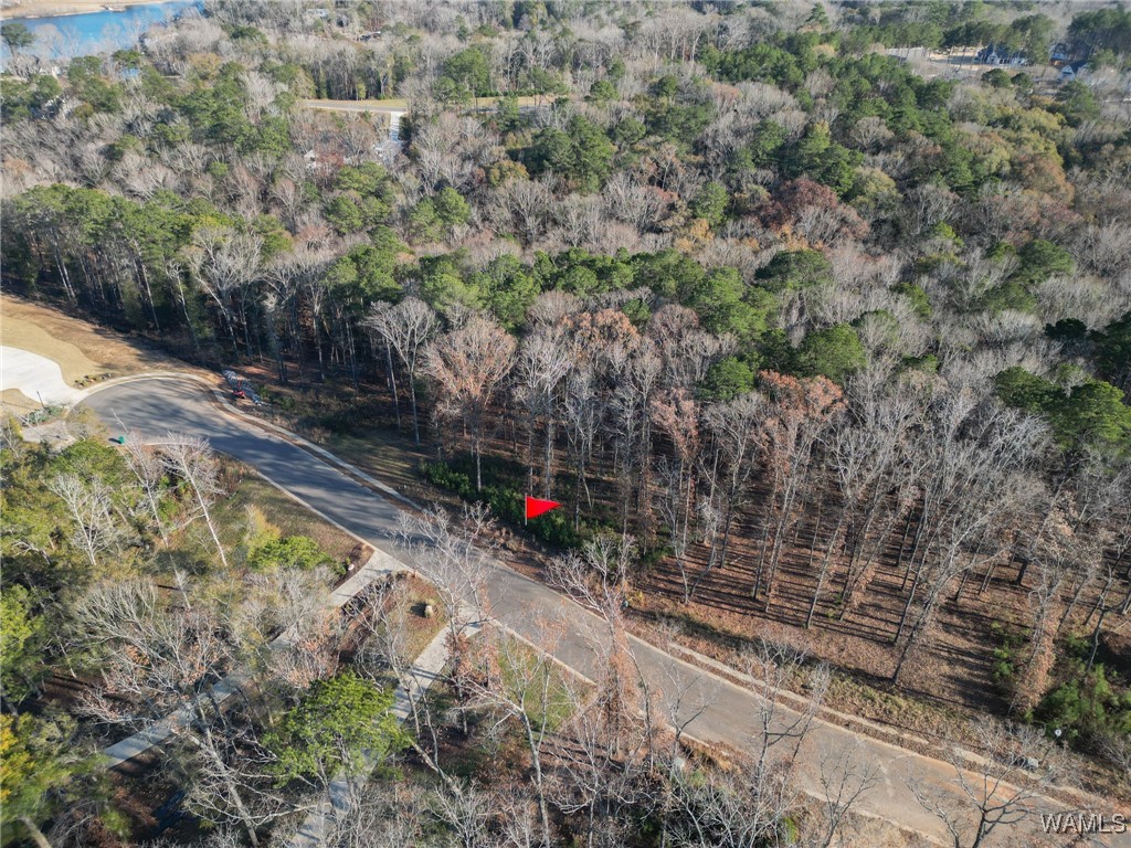 Land in Northport 4