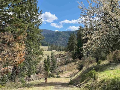 442 Elk City Wagon Rd, Clearwater, ID, 83552-5121 | Card Image