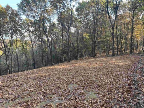 17.03 AC Jackson Ridge, Omaha, AR, 72662 | Card Image