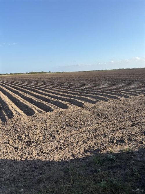 Mile 14 1/2 N Mile 14 1/2 North Road, Donna, TX, 78537 | Card Image