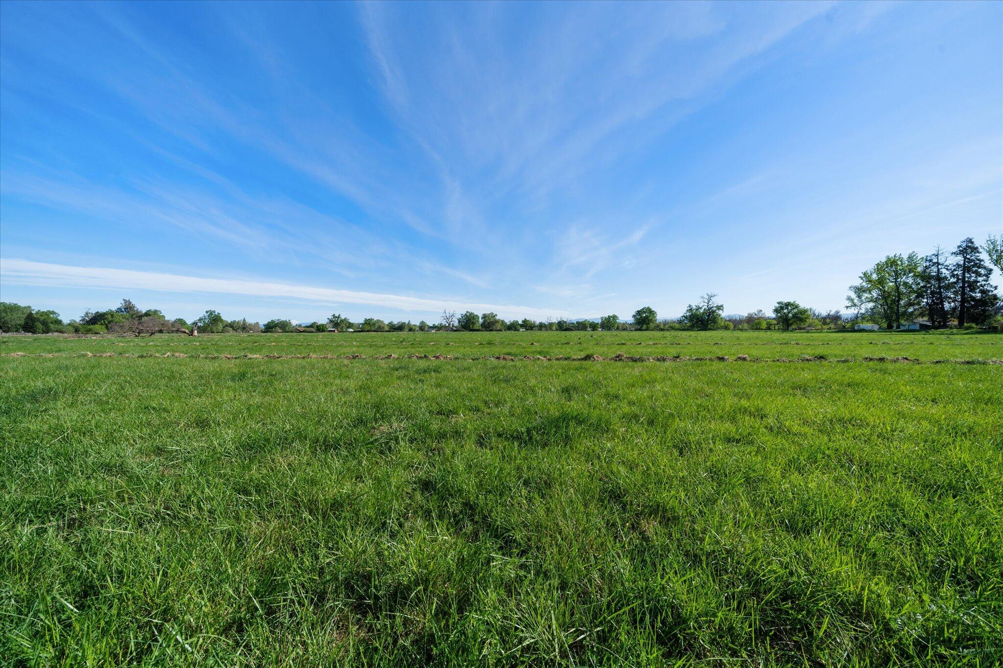 Land in Anderson 5