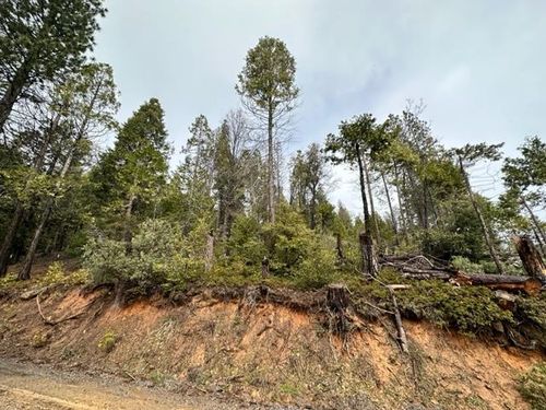 19950 Mountain Misery Rd, Twain Harte, CA, 95383-9456 | Card Image