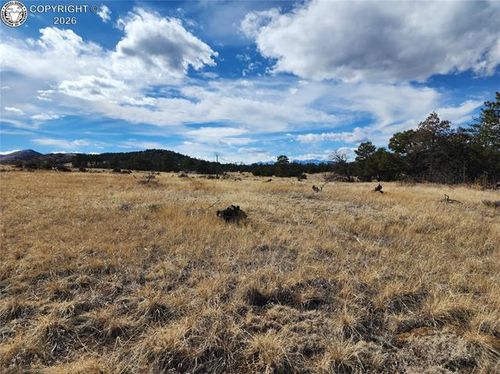 117 Pinon Ln, Cotopaxi, CO, 81223-9430 | Card Image