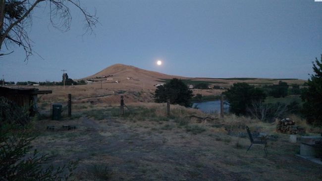 70212 N Demoss Rd., Home with 0 bedrooms, 0 bathrooms and null parking in Benton City WA | Image 17