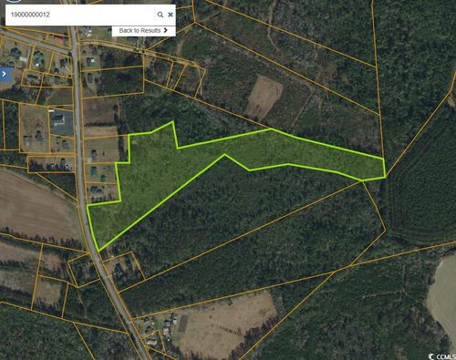 TBD Mount Olive Rd, Loris, SC, 29569 | Card Image