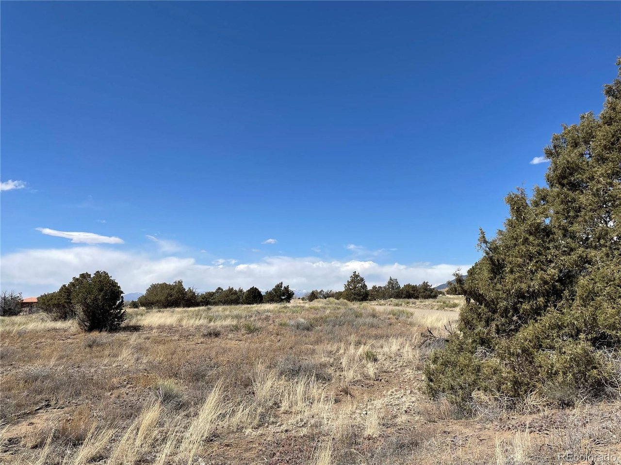 Land in Crestone 2