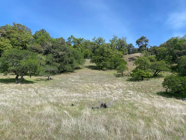 19010 Hulbert Rd, Home with 0 bedrooms, 0 bathrooms and null parking in Yorkville CA | Image 7