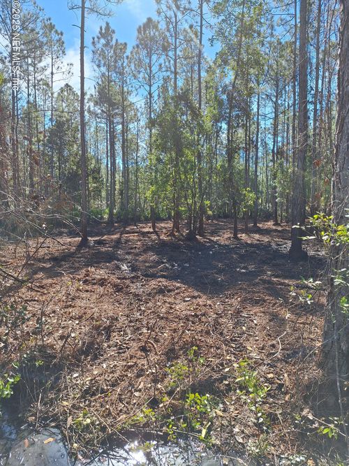 0 E Dixie St, Palatka, FL, 32177 | Card Image