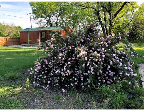 241 E Jackson St, Bartlett, TX, 76511-4327 | Card Image