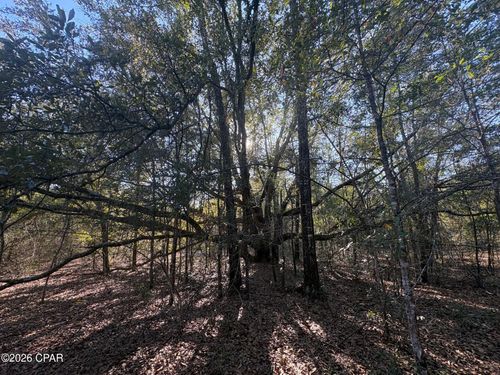lot 55 Owl Court, Marianna, FL, 32448 | Card Image