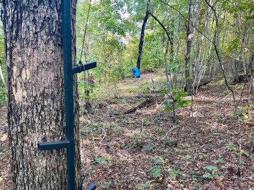 000 Watson Rd, Clinton, AR, 72031 | Card Image