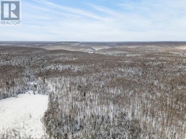 12626 County Rd 503 Road, Home with 0 bedrooms, 0 bathrooms and null parking in Highlands East (Monmouth) ON | Image 4