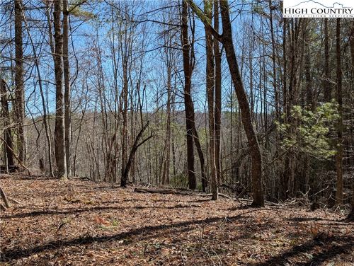 4 Running Cedar Ln, Crumpler, NC, 28617 | Card Image